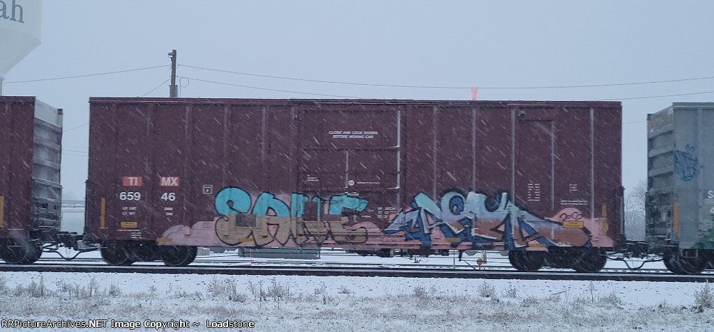 TIMX 65946